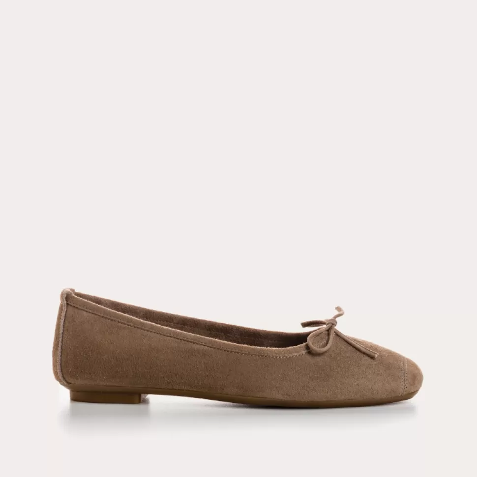 Ballerines^Reqins Ballerines Harmony Cuir Velours Cc Taupe Fonce