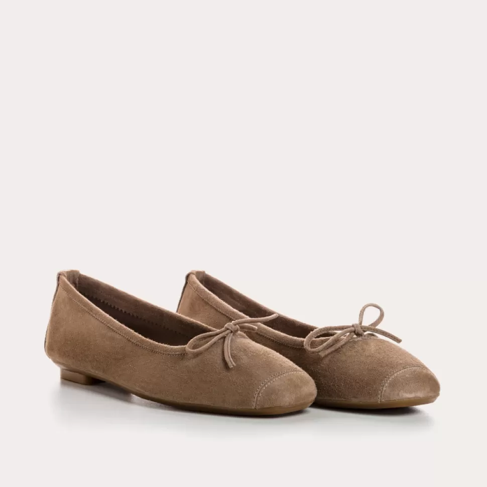 Ballerines^Reqins Ballerines Harmony Cuir Velours Cc Taupe Fonce