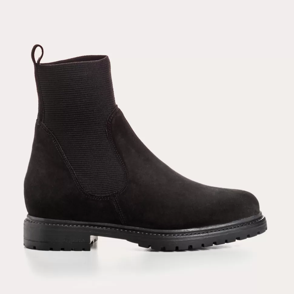 Boots^Reqins Boots Evelyn Cuir Velours Noir, Noir