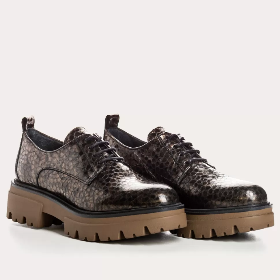 Derbies^Reqins Derbies Asty Caiman Mordore, Metallique